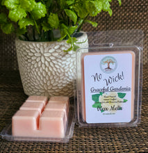 Load image into Gallery viewer, Hand-Poured Wax Melts