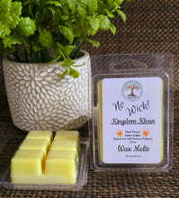 Load image into Gallery viewer, Hand-Poured Wax Melts